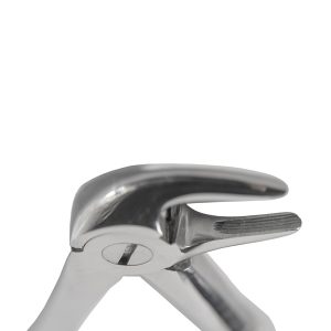 FORCEPS ADULTO #33 INGLES PICO DE LORO MEDIANO PARA RAICES INFERIORES - Imagen 3