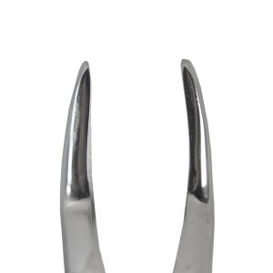 FORCEPS ADULTO #51 BAYONETA FINA RAICES SUPERIORES - Imagen 3
