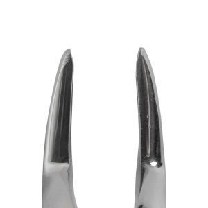 FORCEPS ADULTO #51A BAYONETA EXTRA FINA RAICES SUPERIORES - Imagen 3