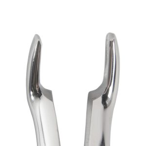 FORCEPS ADULTO #67 INGLES PARA TERCER MOLAR SUPERIOR - Imagen 3