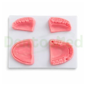 MODELO PRACTICA SUTURA DENTAL ENCIA BLANDA - Imagen 2