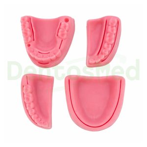 MODELO PRACTICA SUTURA DENTAL ENCIA BLANDA